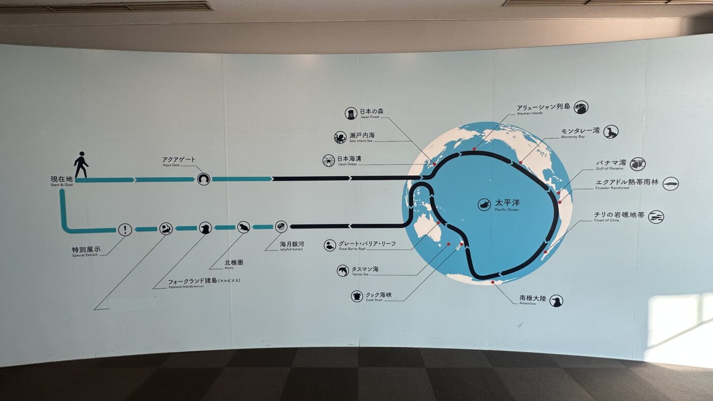 五、大阪海遊館停留時間：快速參觀到半日行程